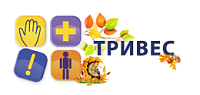Сеть ортопедических салонов «Тривес» Сеть ортопедических салонов «Тривес»